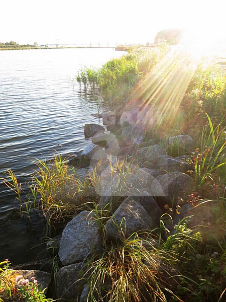 Nuldernauw, Veluwerandmeer; Nederland / Netherlands stock-image by Agami/Marc Guyt,