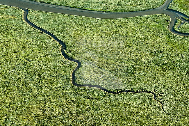  stock-image by Agami/Marc Guyt,