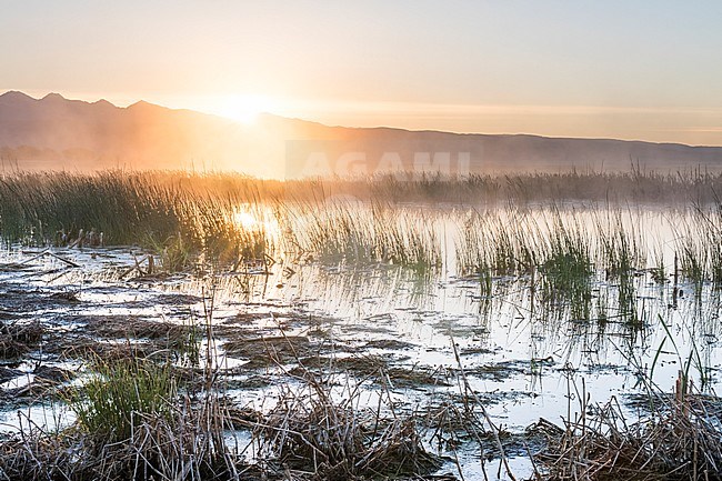 Tunka-National Park, Buryatia, Russia stock-image by Agami/Ralph Martin,