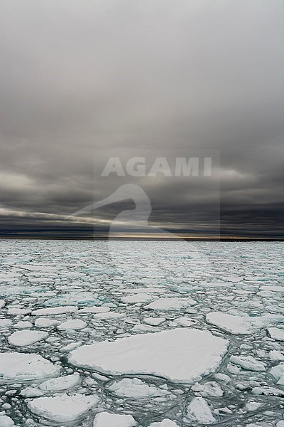 Melting Arctic sea ice. North polar ice cap, Arctic ocean stock-image by Agami/Sergio Pitamitz,