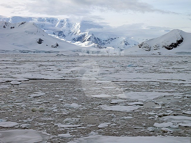 Gerlache Straits scenery, Antarctica stock-image by Agami/Pete Morris,