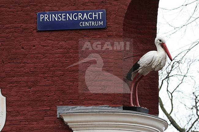 Statue of White Stork in Amsterdam; Gevelbeeld Ooievaar in Amsterdam stock-image by Agami/Marc Guyt,