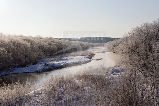 Rivier in de winter op Hokkaido; River in winter at Hokkaido stock-image by Agami/Marc Guyt,