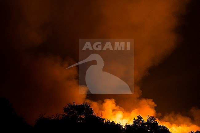 A bushfire on the hills surrounding the Savuti Marsh. Savuti, Chobe National Park, Botswana stock-image by Agami/Sergio Pitamitz,
