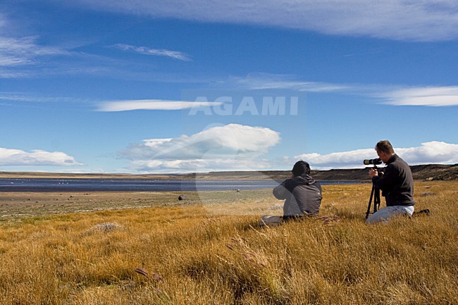 Patagonia, Argentina stock-image by Agami/Marc Guyt,