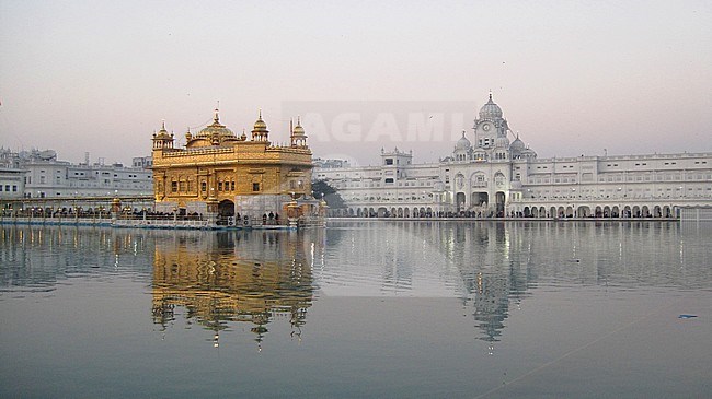 Golden Palace (or Darbar Sahib or  Sri Harmandir Sahib) in the city Amritsar, Punjab, India. The holiest Gurdwara and the most important pilgrimage site of Sikhism. stock-image by Agami/James Eaton,