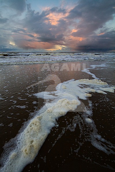Noordzeekust Katwijk; North Sea coast Katwijk (Netherlands) stock-image by Agami/Menno van Duijn,