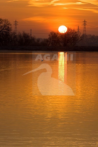 Zonsopkomst in Vecht en Zwarte water; Sunrise in Vecht en Zwarte water stock-image by Agami/Theo Douma,