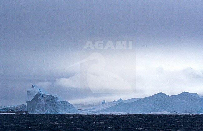 Pakijs Antarctica; Pack ice Antarctica stock-image by Agami/Marc Guyt,