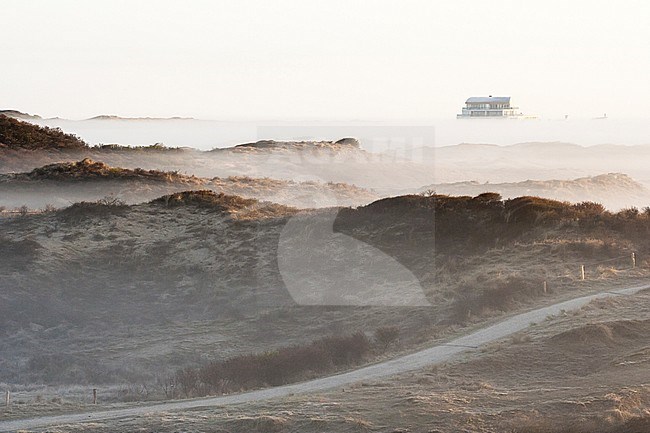 Misty dunes at Katwijk in spring stock-image by Agami/Marc Guyt,