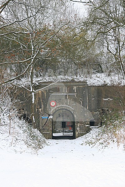 Old fort  for hibernation for bats stock-image by Agami/Theo Douma,