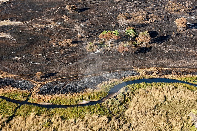 Aerial view of the Okavango Delta, after a bushfire. Botswana. stock-image by Agami/Sergio Pitamitz,