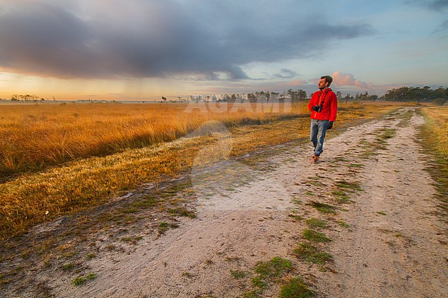 Nature reserves Kalmthout Heath stock-image by Agami/Menno van Duijn,