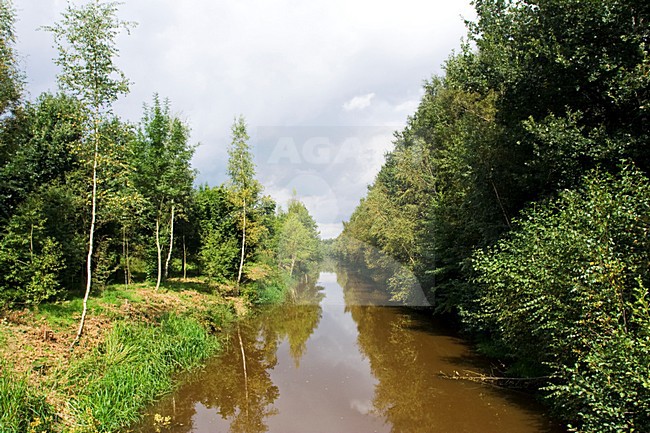 Engbertsdijkvenen, Netherlands stock-image by Agami/Marc Guyt,