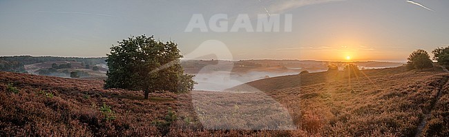 Panorama Zijperberg stock-image by Agami/Rob Riemer,