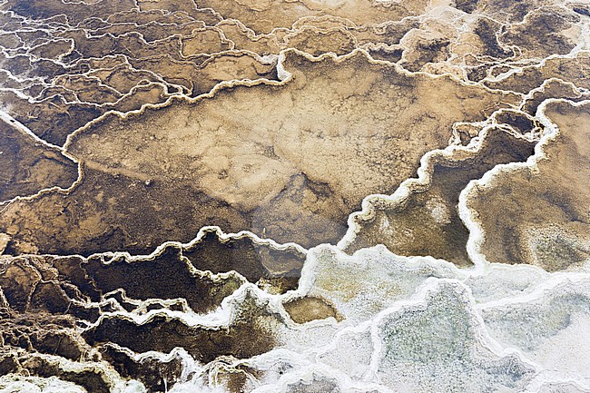 Detail van warmwaterbron in Yellowstone; Close up of hot spring at Yellowstone stock-image by Agami/Caroline Piek,