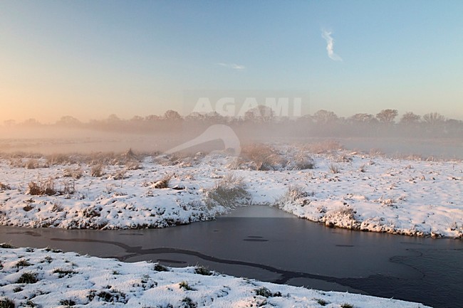 Naardermeer in winter, Naardermeer in winter stock-image by Agami/Roy de Haas,