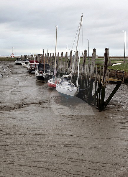 When you have a boat in the harbour of Paal, you have to take into account, that the waterlevels are changing constantly. stock-image by Agami/Jacques van der Neut,