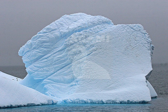 Weddell Sea Scenery, Antarctica stock-image by Agami/Pete Morris,