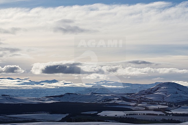 Underberg, Drakensbergen, South-Africa stock-image by Agami/Marc Guyt,