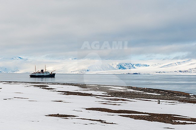 A cruise ship anchored in Mushamna Bay off Spitsbergen Island. Spitsbergen Island, Svalbard, Norway. stock-image by Agami/Sergio Pitamitz,