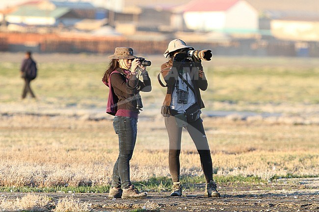 Two female birdwatchers in Mongolia. Doing observations of local bird species. stock-image by Agami/James Eaton,