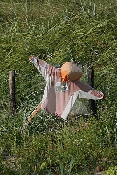 Vogelverschrikker; Scare crow stock-image by Agami/Marc Guyt,