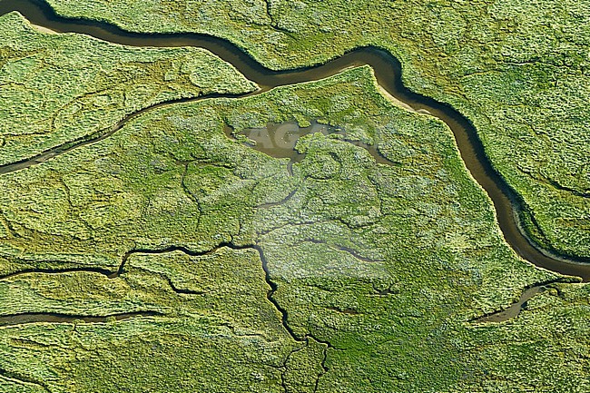 Salt marsh on Schiermonnikoog seen from the air. Typical coastal habitat on the Dutch wadden isles. stock-image by Agami/Marc Guyt,
