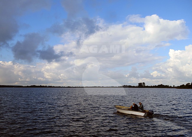 Reeuwijkse plassen, Nederland / Netherlands stock-image by Agami/Marc Guyt,