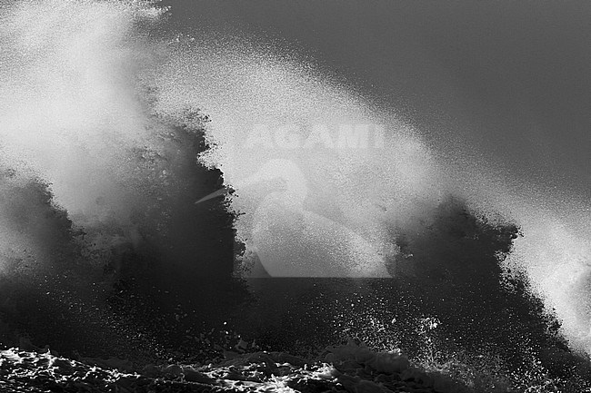 Black-and-white image of huge waves crashing over the pier of Ijmuiden, Netherlands during severe coastal storm. Panoramic view of the North Sea in the Netherlands. stock-image by Agami/Menno van Duijn,