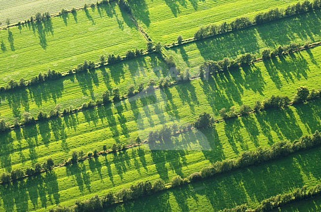 Luchtfoto van boerenland in Friesland; Aerial photo of rural aereas in Friesland stock-image by Agami/Marc Guyt,