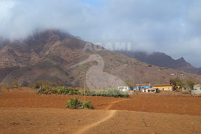 Village, Santiago, Cape Verde stock-image by Agami/Saverio Gatto,