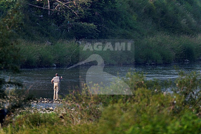 Vliegvisser vissend in stromend water van de Grensmaas. Fisherman fly-fishing in the river Meuse. stock-image by Agami/Ran Schols,