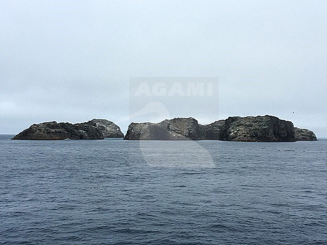The remote Bounty Islands off New Zealand. A small group of 13 uninhabited granite islets and numerous rocks in the southern pacific ocean. The group is a World Heritage Site. stock-image by Agami/Marc Guyt,