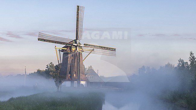 Windmill De Onrust on a misty morning near the Naardermeer, Netherlands. stock-image by Agami/Onno Wildschut,