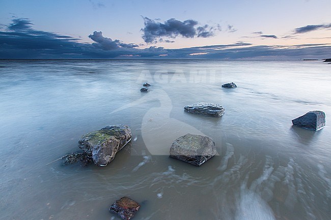 Wierumerwad, Wadden sea stock-image by Agami/Wil Leurs,