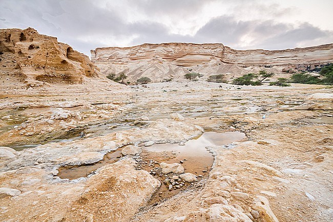 Landscape Wadi at Ash Shuwaymiyyah, Oman stock-image by Agami/Ralph Martin,