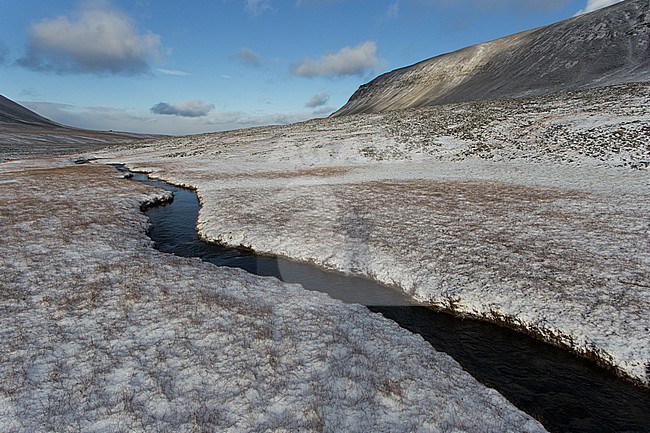 Valley with snow covered fields on Svalbard, arctic Norway. stock-image by Agami/Pieter-Jan D'Hondt ,