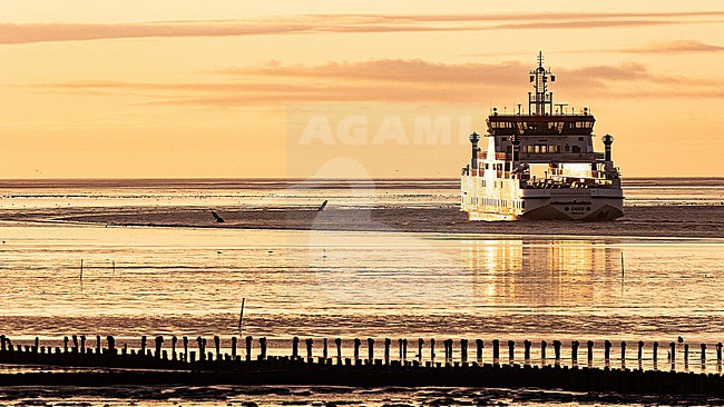  stock-image by Agami/Menno van Duijn,