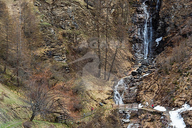 A waterfall in Gran Paradiso National Park. Aosta, Val Savarenche, Gran Paradiso National Park, Italy. stock-image by Agami/Sergio Pitamitz,