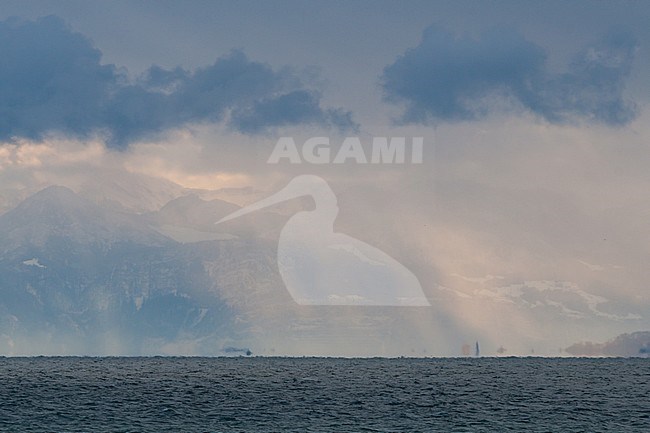 Lake Constance in winter stock-image by Agami/Ralph Martin,