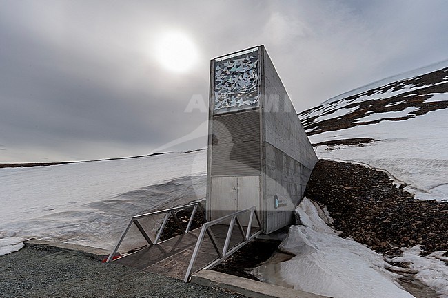 The entrance to the Svalbard Global Seed Vault built into a snow covered mountain. Longyearbyen, Spitsbergen Island, Svalbard, Norway. stock-image by Agami/Sergio Pitamitz,