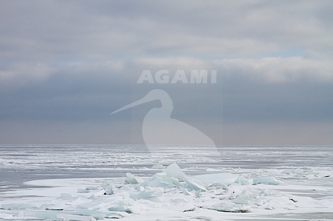 IJsselmeer in winter stock-image by Agami/Menno van Duijn,