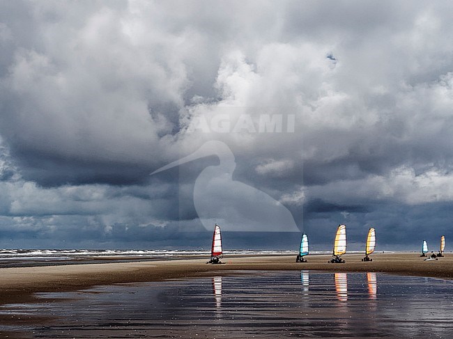 Beach surfers on beach Texel, strand surfen op Texel stock-image by Agami/Rob Riemer,