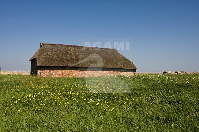 Bantpolder in de zomer, Bantpolder in summer stock-image by Agami/Marc Guyt,