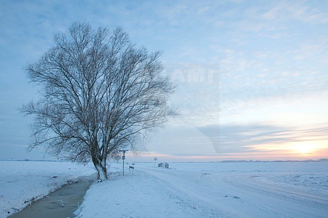 Besneeuwd landschap, Snow covered landscape stock-image by Agami/Wil Leurs,