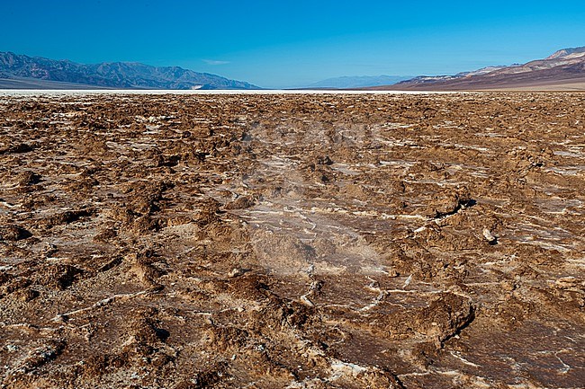 Salt crust in tyhe Badwater Basin. California USA stock-image by Agami/Sergio Pitamitz,