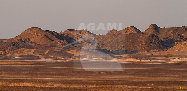 Landscape of central desert of Oman stock-image by Agami/Ralph Martin,