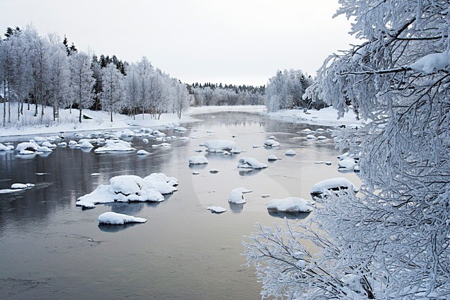 River, Kuusamo, Finland stock-image by Agami/Marc Guyt,
