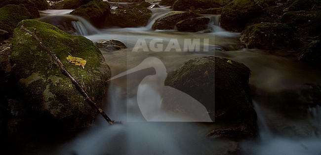 One of the Cascades de Herisson, Jura, France. With many rocks in the fast flowing small rivers. stock-image by Agami/Bas Haasnoot,